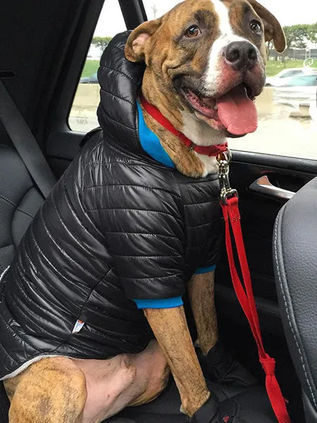 Bark in the Parka: Customizable Dog Winter Coats