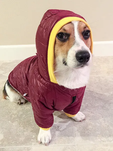 Bark in the Parka: Customizable Dog Winter Coats