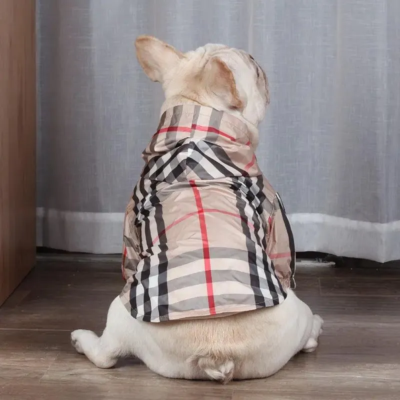 Stylish and Cozy Pet Hoodies