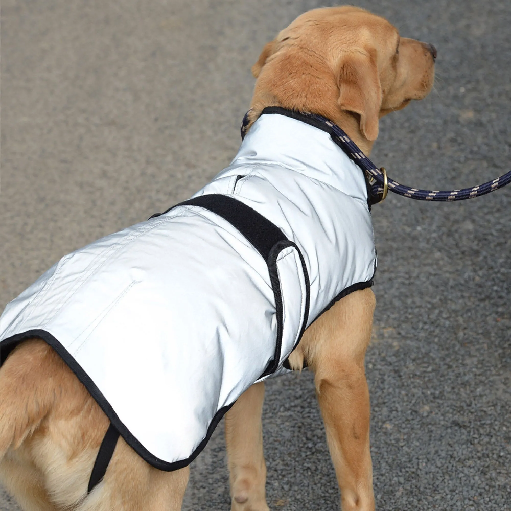 Weatherbeeta Comfitec Reflective Dog Coat