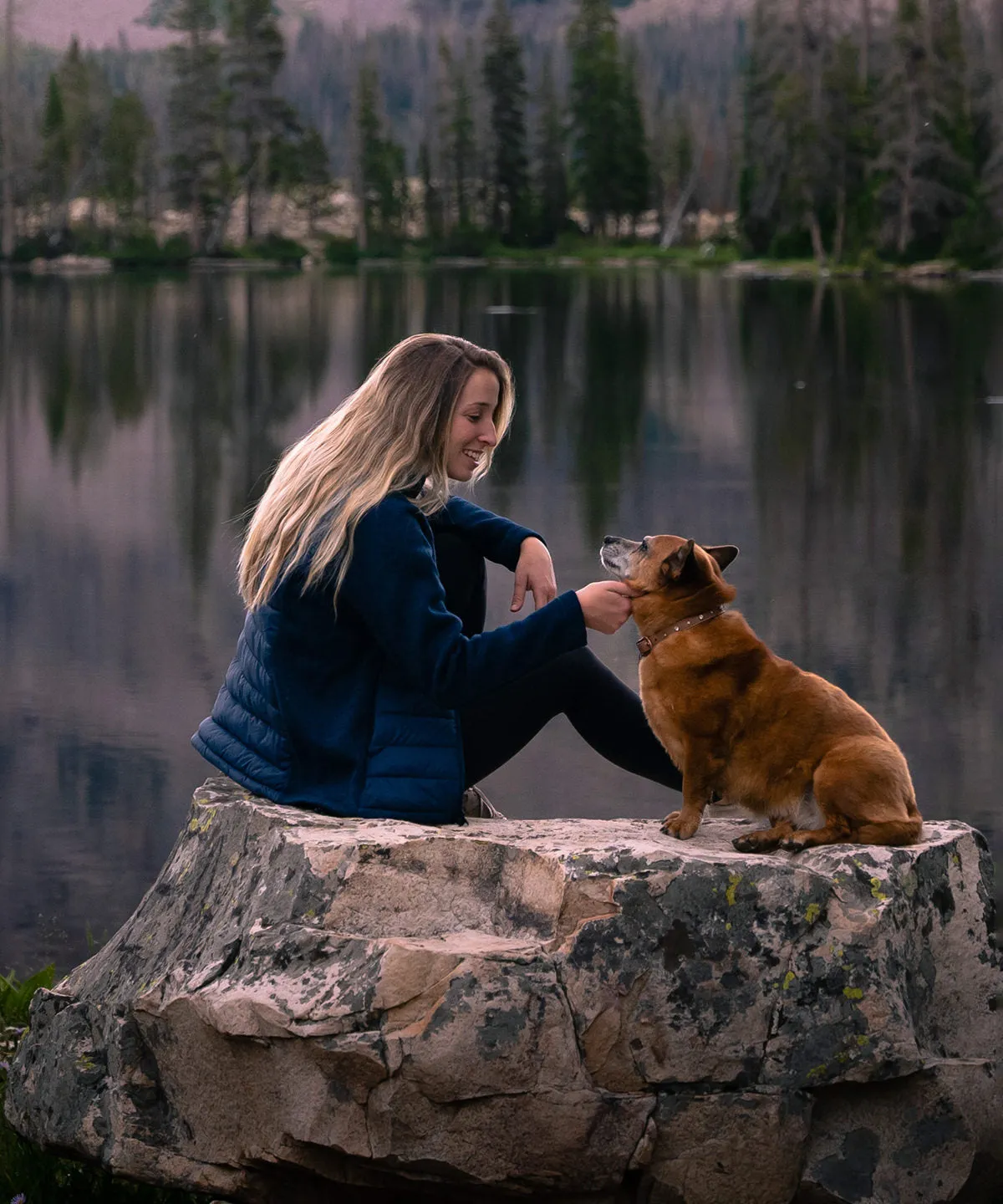 Womens Narvik hybrid jacket | Indigo/Indigo Heather